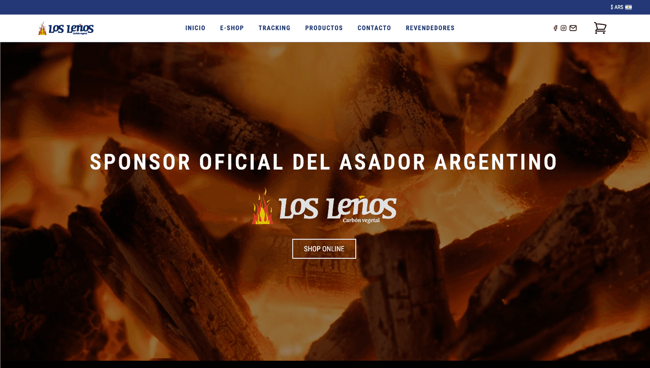Auditoría y relevamiento